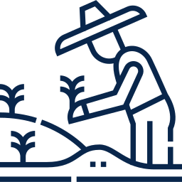 planting